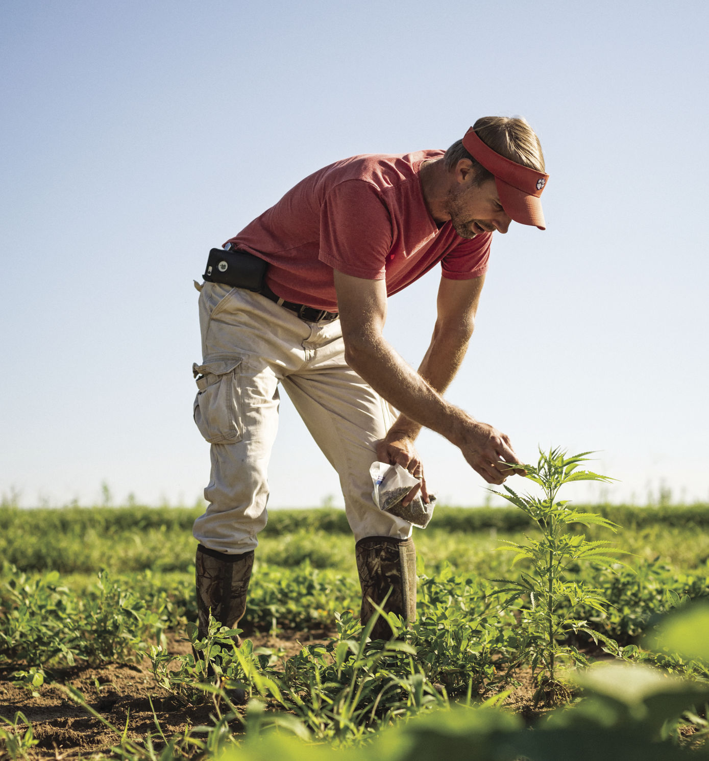 nat-bradford-bending-hemp.jpg